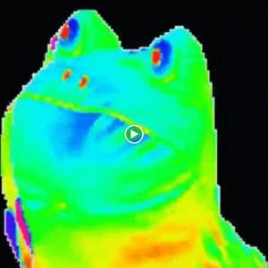 Meet your Posher, Charles